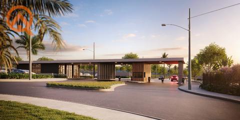 Imagem do lançamento